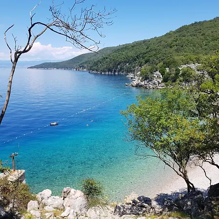Vela Vrata Daire